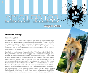 August 2024 AMAL Tales Cover.